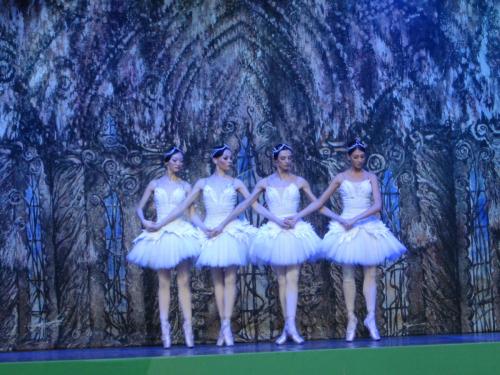 Лебединое озеро 071.JPG