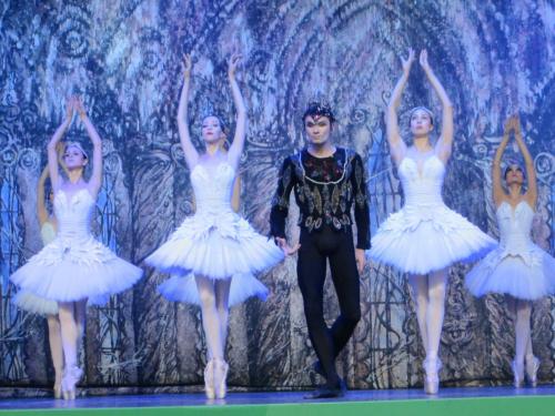 Лебединое озеро 097.JPG