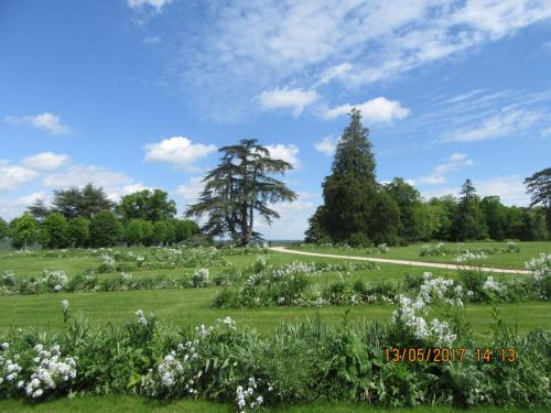 Ароматы 2 (2017) 1019.JPG