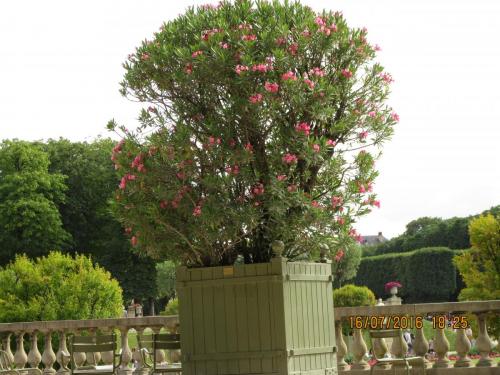 Великолепная Франция 2016 705.JPG