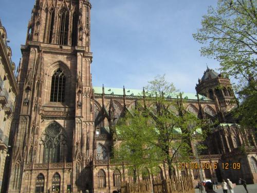 Ароматы, 11.04.2016 2476.JPG