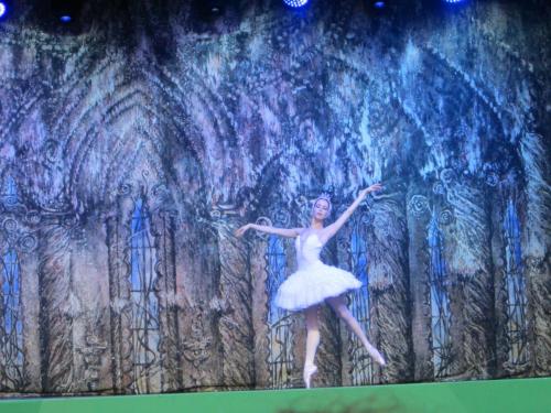 Лебединое озеро 037.JPG