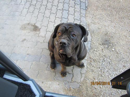 Ароматы, 11.04.2016 1536.JPG