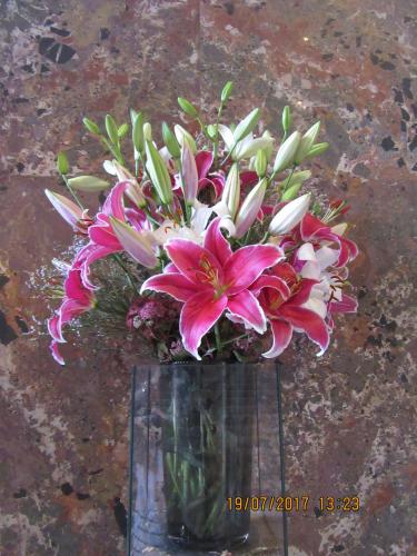 лето 2017 039.JPG