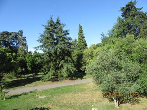 2 AS, 2 часть 245.JPG