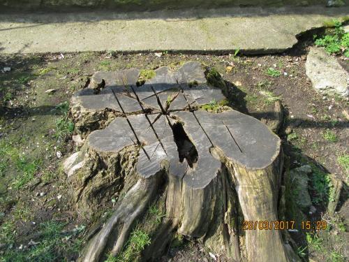 март, париж 178.JPG