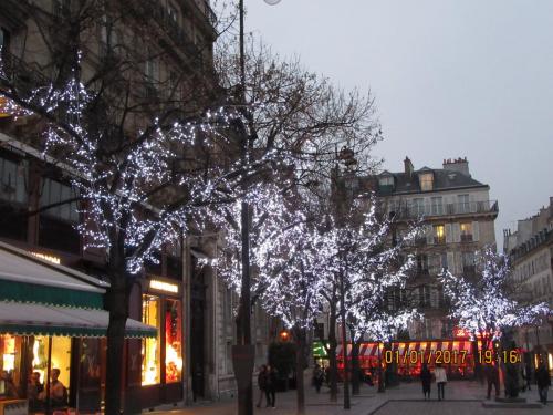 париж-2016-2017 1087.JPG