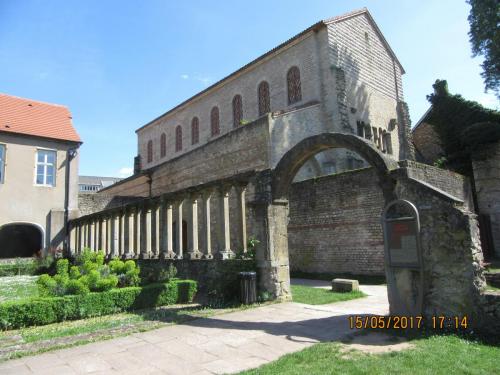 Ароматы 2 (2017) 2061.JPG