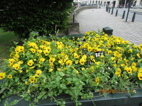 Нов. Ароматы 2 097.JPG