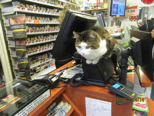 Ароматы 2 (2017) 1452.JPG