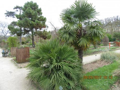 март, париж 1064.JPG