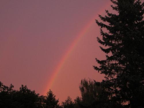 Лебединое озеро 168.JPG