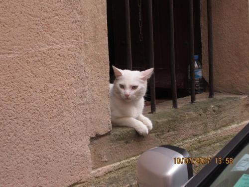 2 AS, 1 часть 1490.JPG