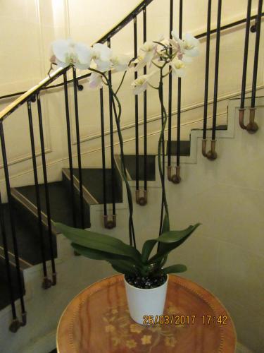 март, париж 269.JPG