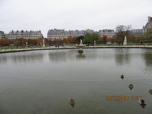 Божоле 2016 645.JPG