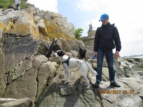 Нов. Ароматы 2 1489.JPG