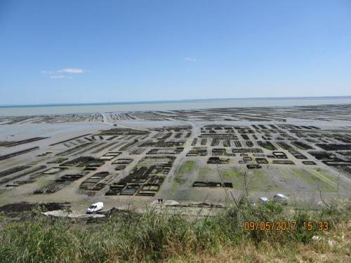 Нов. Ароматы 2 1890.JPG