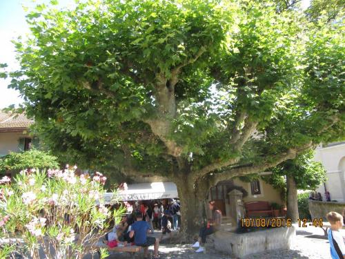 2GT 2016, 2 часть 1185.JPG