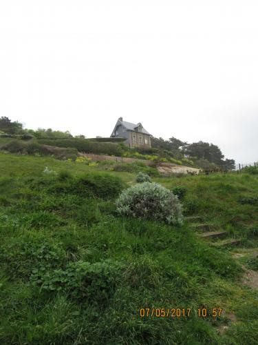 Нов. Ароматы 2 900.JPG