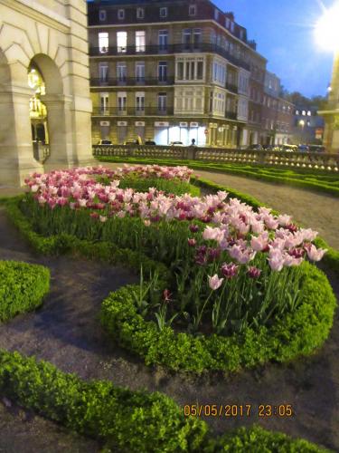 Нов. Ароматы 2 432.JPG