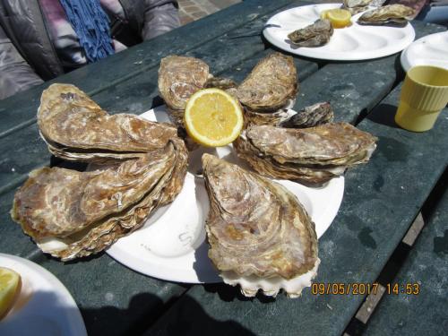 Нов. Ароматы 2 1866.JPG