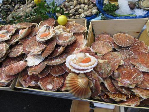 париж-2016-2017 882.JPG