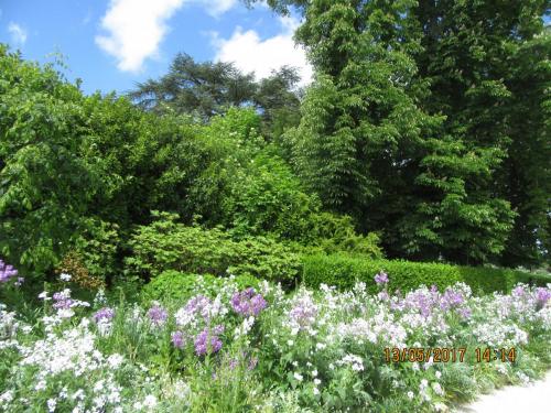 Ароматы 2 (2017) 1020.JPG