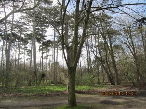 Париж март 2016 258.JPG