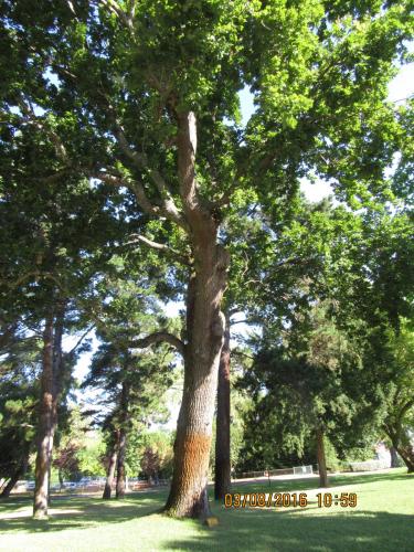 2GT 1 часть2016 1601.JPG