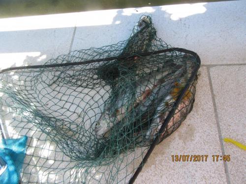 2 AS, 1 часть 2640.JPG