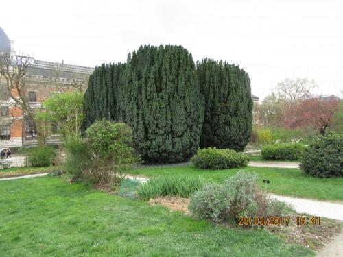 март, париж 1002.JPG