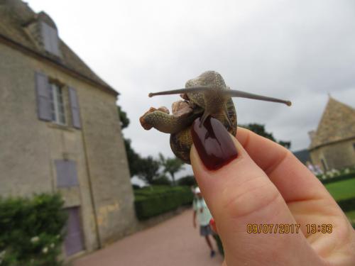 2 AS, 1 часть 1099.JPG