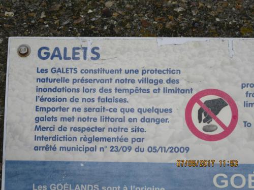 Нов. Ароматы 2 995.JPG