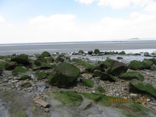 Нов. Ароматы 2 1466.JPG