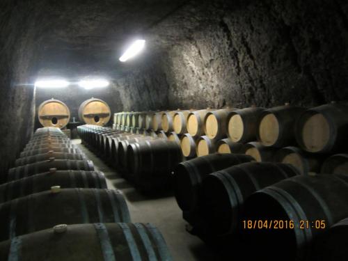 Ароматы, 11.04.2016 1530.JPG