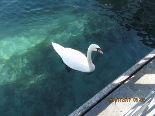 2 AS, 2 часть 201.JPG