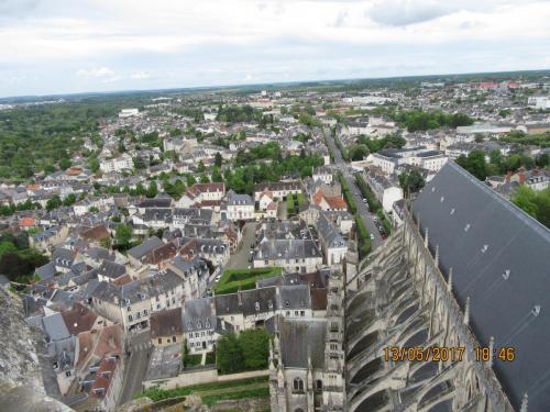 Ароматы 2 (2017) 1140.JPG