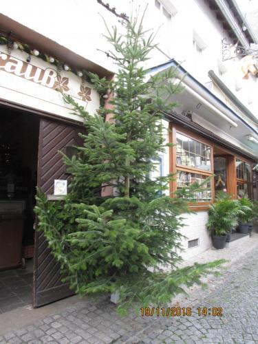 Божоле 2016 2209.JPG