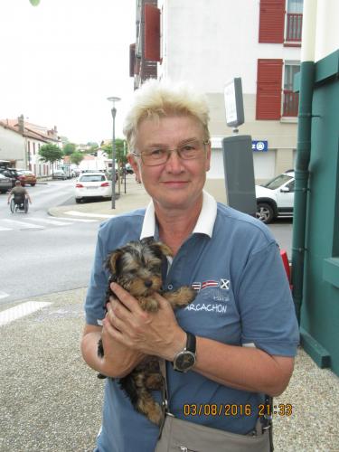 2GT 1 часть2016 1832.JPG