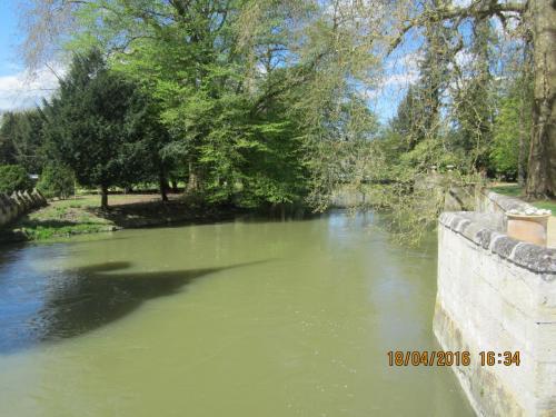 Ароматы, 11.04.2016 1316.JPG