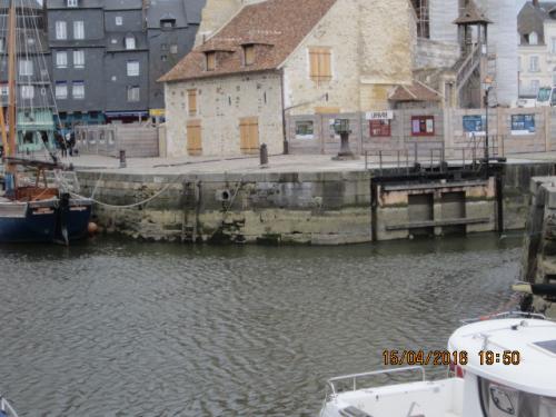 Ароматы, 11.04.2016 680.JPG