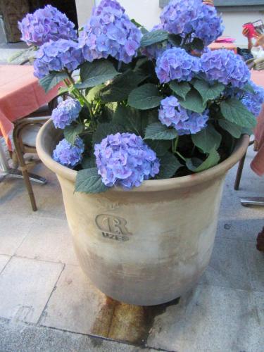 2 AS, 1 часть 2463.JPG