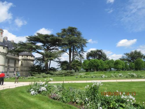 Ароматы 2 (2017) 1016.JPG