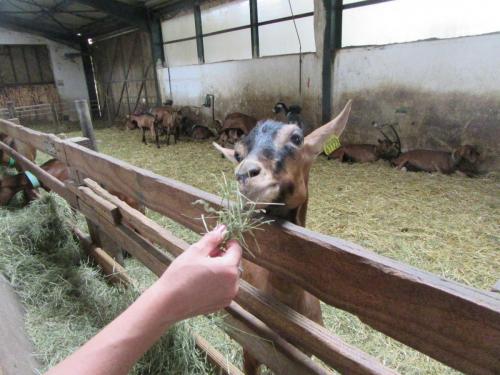 2 AS, 1 часть 908.JPG