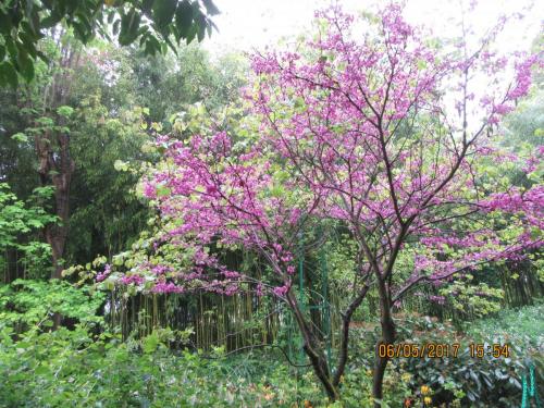 Нов. Ароматы 2 661.JPG