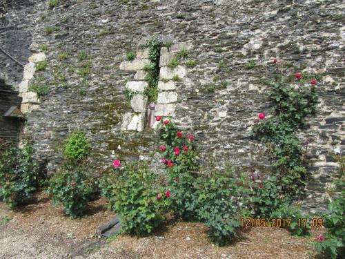 Ароматы 2 (2017) 435.JPG