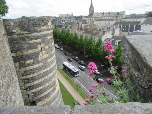 Ароматы 2 (2017) 383.JPG