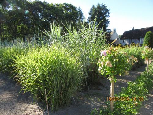 Великолепная Франция 2016 1237.JPG