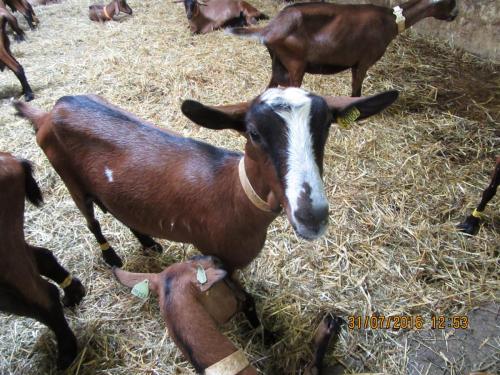 2GT 1 часть2016 708.JPG