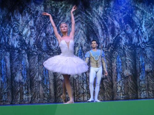 Лебединое озеро 066.JPG